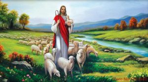 Jesus sheep